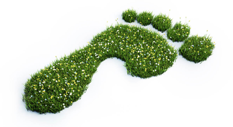 ökologischer Fußabdruck